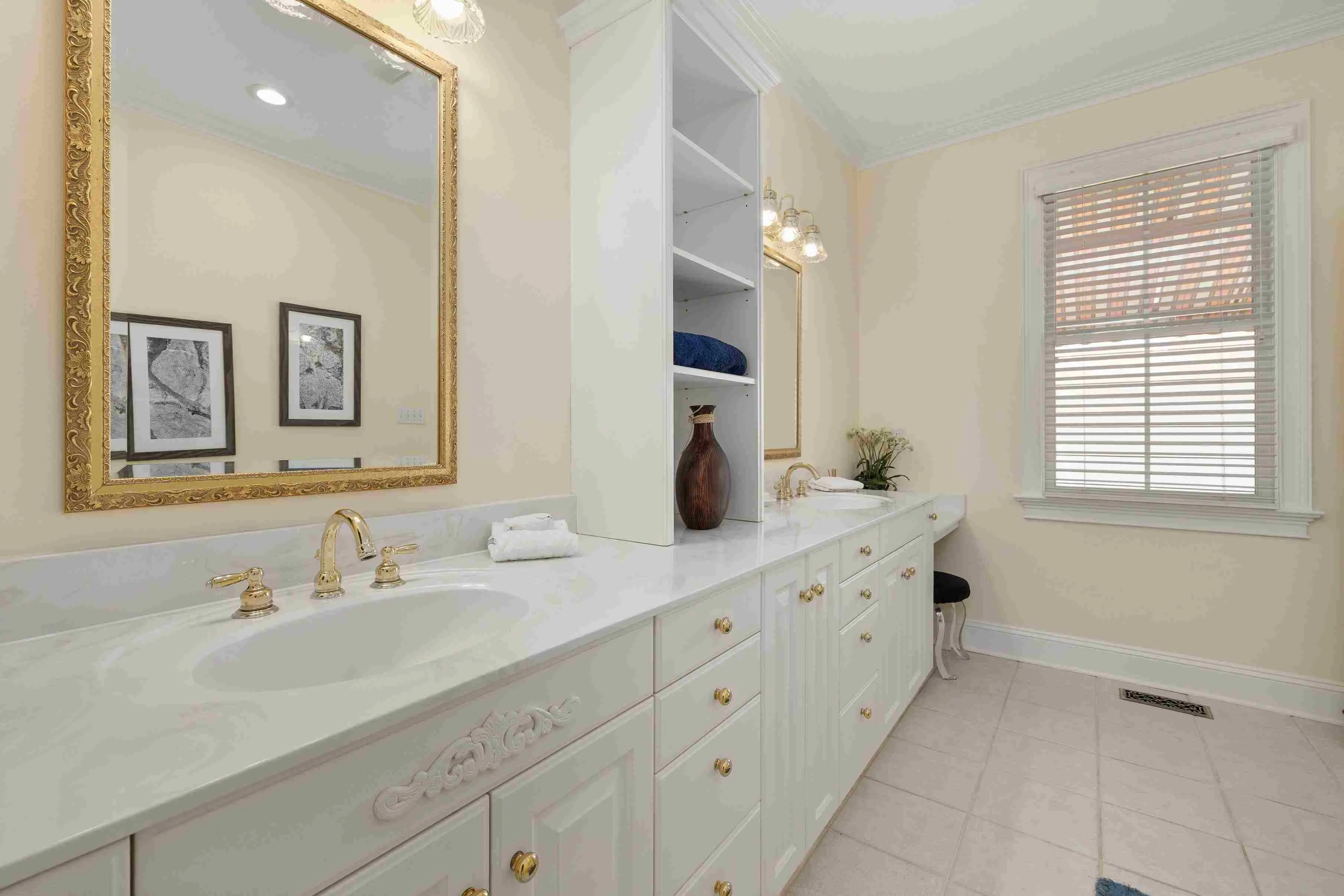 Luxury master bath vanity and finishes